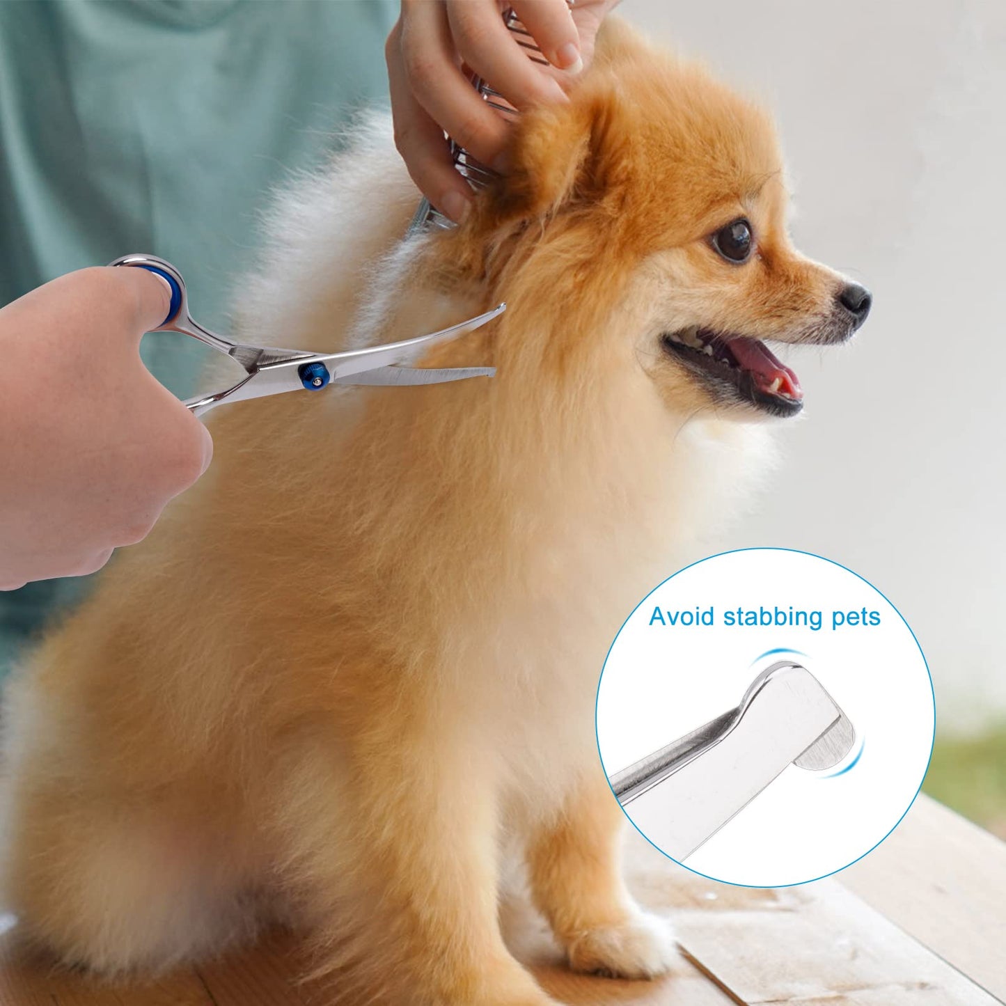Pet Grooming Scissors with Safety Round Tip, Curved Grooming Shears Scissors, Stainless Steel Pet Grooming Tools (Silver Down Curved Scissor)