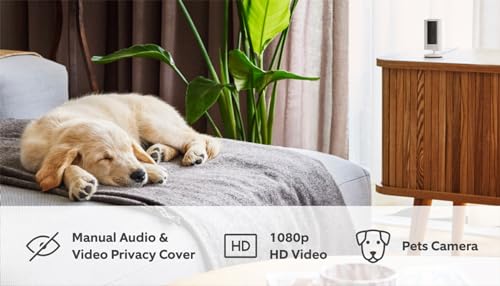 Ring Indoor Camera (2nd Gen) | Plug-In Pet Security Camera | 1080p HD, Two-Way Talk, Wifi, Privacy Cover, DIY | alternative to CCTV system | 30-day free trial of Ring Home
