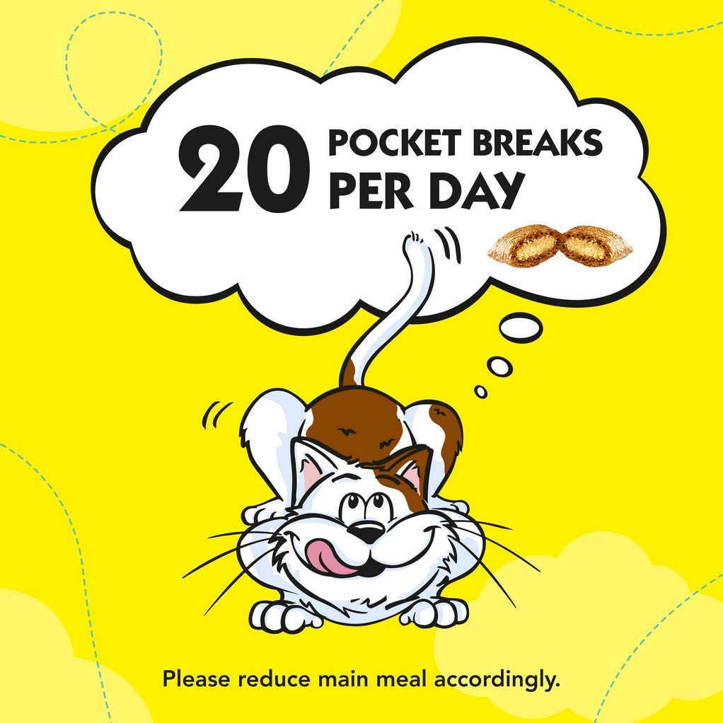 DREAMIES - Cat Treats - 12 x 60g - Multipack Biscuits - Variety Snack Box - 12 Pouches
