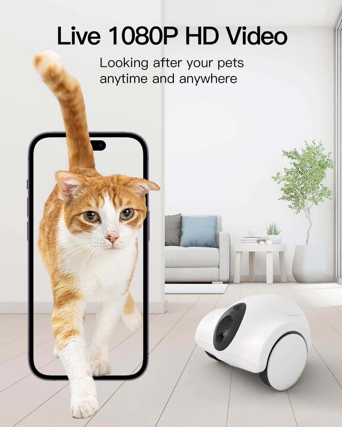 GULIGULI Dog Camera, Pet Camera for Dogs & Cats, Full House Mobile Monitoring, 2 Way Talk, 15-Day Long Endurance, No Monthly Fee, Cat Laser (2.4G WiFi ONLY)